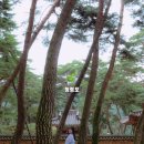 별바우한우 이미지