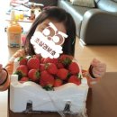 고복마트 이미지