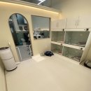 멍스럽개 이미지