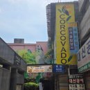 상상갤러리카페 | ​[종로 대형 카페] 꼬르꼬바두 도심 속 브라질 휴양지와 갤러리가 어우러진 서울 대형 카페 솔직 후기...