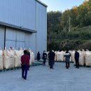 제일미곡종합처리장 이미지