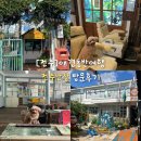 전주난장 | [전주] 한옥마을 애견동반여행 볼거리 “전주난장” 방문후기