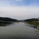 소화건강타운 이미지