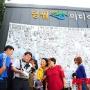 보인주 이미지