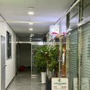 송정라인2차경로당 | 울산 북구 초밥 오마카세 맛집 송정 오사이초밥 만족한 디너 후기