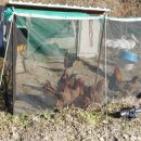 서라벌 노래방 이미지