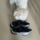 맥스플라이 | 신발 후기🛍️ 나이키 에어맥스 아일라샌들(FJ5929-003)&amp; 나이키 에어 슈퍼 플라이 실버컬러