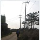 제주 올레길 14코스 이미지