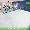 더 설렘 온수수영장펜션 | 여수 프리미엄 호텔 더 설렘 온수수영장 펜션