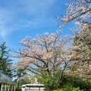 GOLF GROUND | <도쿄>Seibuen Golf Ground_아이와 골프여행