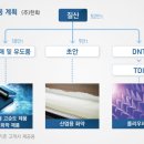 대한정밀화학(주)