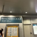 MBS(엠비에스) | 싱가포르 마리나베이샌즈 호텔 47층 시티뷰 추천, 인피니트풀 팁 및 후기