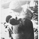 자갈치와 어머니 이미지