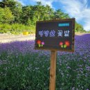 여의주공인중개사사무소 이미지