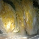 푸른행복농장 이미지