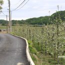 소백산마을농촌체험휴양마을 이미지