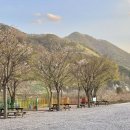 단양 무지개 오토캠핑장 이미지