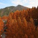 금정산업주식회사 이미지