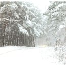 안동여자고등학교 이미지