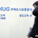 백구공인중개사사무소 이미지