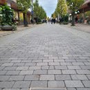 주식회사 다이버스 이미지