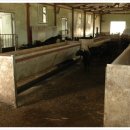 현석농장 이미지