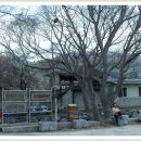 산안2리마을 이미지