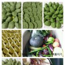 해천농장 이미지