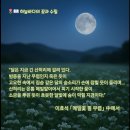메밀꽃이야기