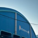 서림식당 | 연안부두 횟집 추천, 인천종합어시장 서림상회 솔직 후기(봄도다리 찐맛집)