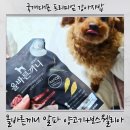 올바른짐 | 강아지사료 추천! 강아지가 밥 안 먹을 때 국개대표 올바른끼니 알파 양고기 후기
