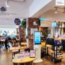 이디야커피화곡 | 조용하고 넓은 카페 화곡 이디야커피 매장 내돈내산 후기~