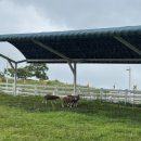 덕이목장 이미지