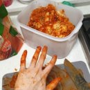 농협 아름찬 포기김치 후기 - 역시 김치는 비비고지!!