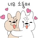 양주 센트럴 동물병원 이미지