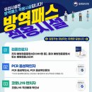 일등급방역