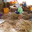 농업기술센터 교육관 이미지