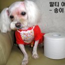 사랑으로 이미지