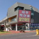 제주특산품할인매장 이미지