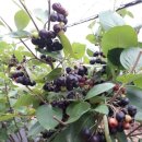 은현농장 이미지