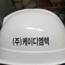 (주)케이디엠텍