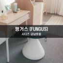 펑거스Fungus 이미지