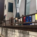 뜨라레2 이미지