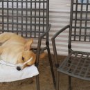 황보농장 이미지