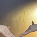 간만에 모인 VIVIZ 이미지