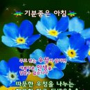 과부집 도둑은 힘들다 이미지