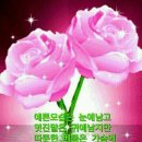 늘푸른탁구장