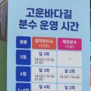 고운바다길분수 | 해운대 고운바다길 음악분수쇼 부산 놀거리 구남로 체험 분수 물놀이 운영 시간