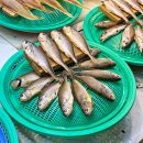 [인천 소래포구 건어물] 택배 가능! 송이수산 후기