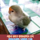장위초등학교 이미지